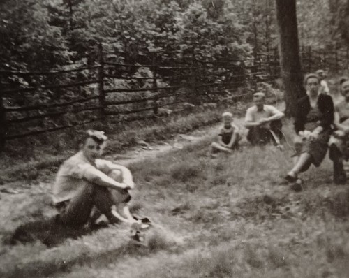 Familie sitzt wald unter - familie, im