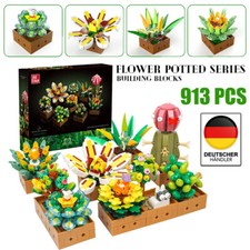 Sukkulenten Blumen Bausteine