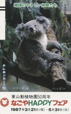 1 Japan TK -  K o a l a - B ä r - Australien - (14)