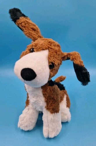 Beagle mit beweglichen ohren - beagle,