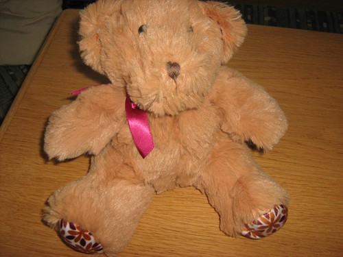 Teddybär mit satinschleife - teddybär,