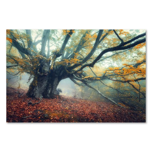 Postereck 3062 poster leinwand - poster,