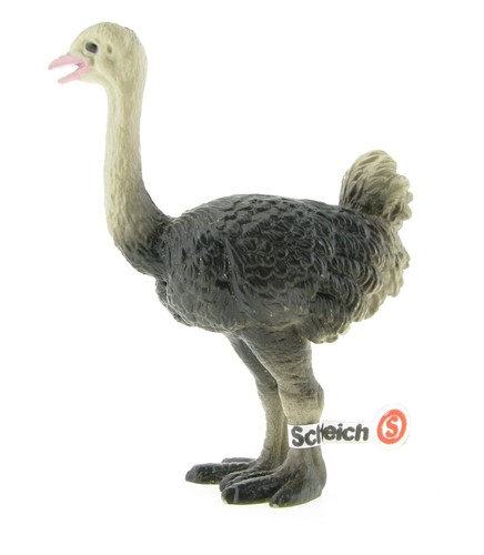 Schleich 14091 vogel strauß - schleich,