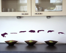 7 Ostfriesische Inseln