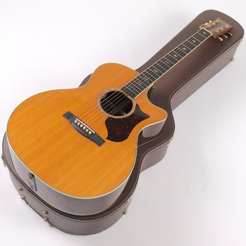 Martin gpcpa2 rosewood - martin,