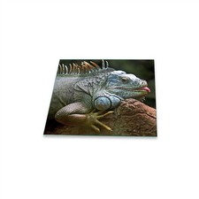 Herdabdeckplatte Ceran 1