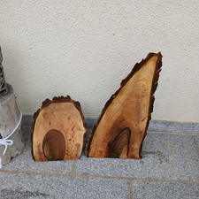 3x  DEKO Nussbaum WALNUSS STELE  Holzklotz Baumkante RINDE DIY BASTELN Nuß 