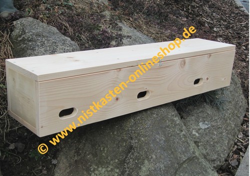 Mauersegler mit nistmulden - mauersegler,