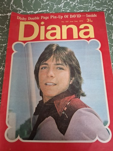 David cassidy cover poster - david,