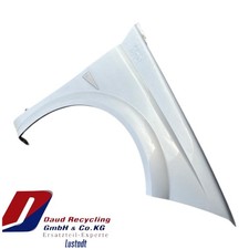 Renault Megane CC Kotflügel