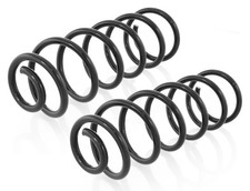 2 Federn Hinten für Opel