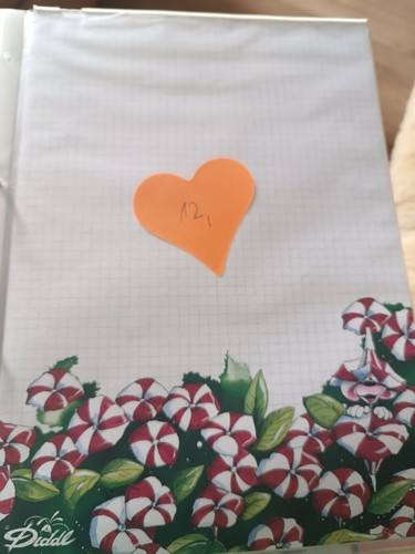 Original diddl ordner mit - diddl,
