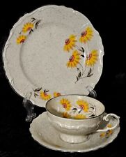 60er VintaGe 3 tlg. Gedeck