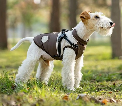 Hundemantel braun beige - hundemantel,