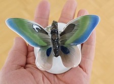 Rosenthal Schmetterling