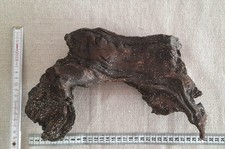 2 Aquarium Wurzeln aus Naturholz ausdrucksstarke Deko Aquascaping