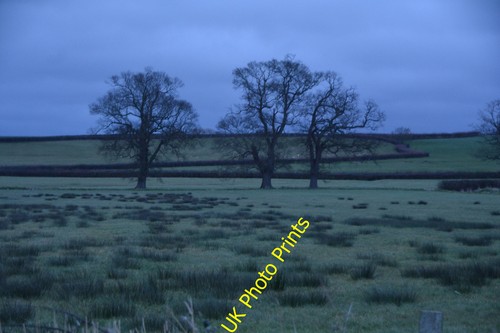 Foto 12x8 sedgemoor - 12x8, grasfeld