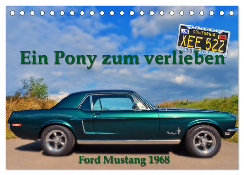 Ingo laue ein pony - ingo,