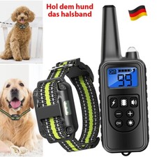 Hund ausbildung stromschlag - hund,