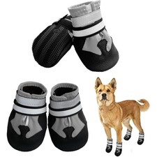 Hundeschuhe, 4 Stück