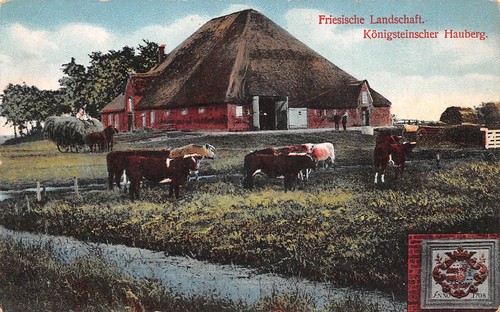 Friesische landschaft - friesische,