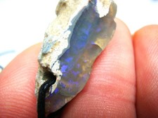 SCHWARZOPAL Nobby mit blauem