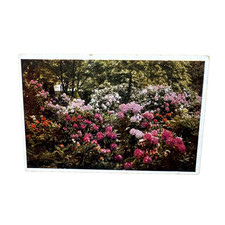 Postkarte essen - postkarte,