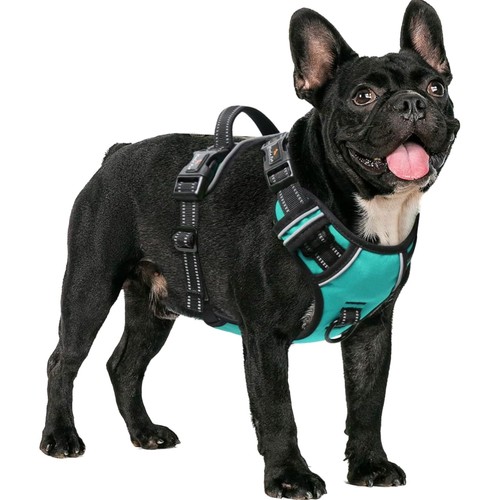 Hundegeschirr pull - hundegeschirr, no-pull