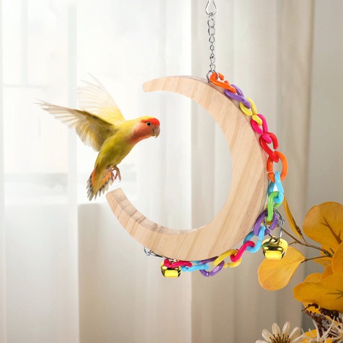 Vogel papagei schaukel - papagei,