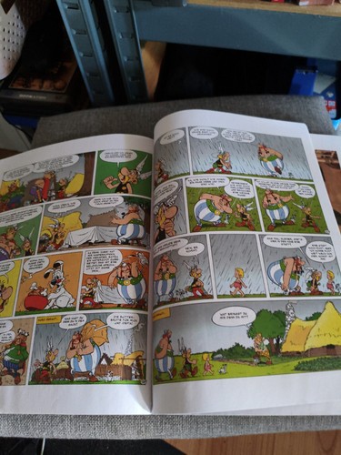 Asterix obelix 24 - 24,