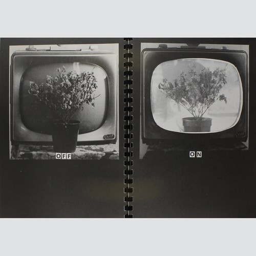 Fluxus affidavit idea - affidavit.,