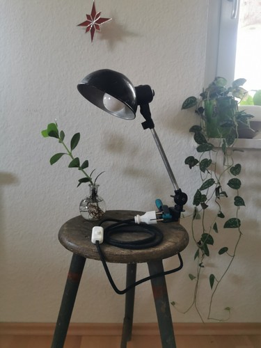 Alte werkstattlampe - alte,