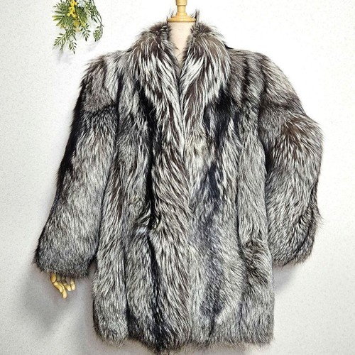Saga fox silberfuchs - saga,