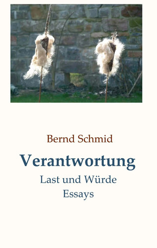 Bernd schmid verantwortung - bernd,