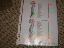 rayonex, Korrelation