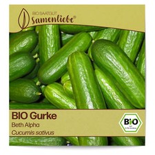 BIO Gurken Samen Sorte Beth Alpha Gemüsesamen BIO Gemüse Saatgut samenfeste Gurk