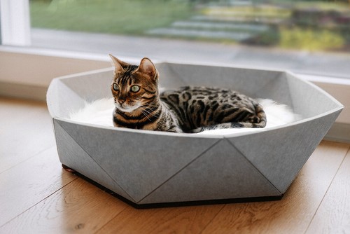 Katzenbett kuschelbett - katzenbett,