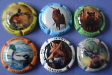 Set mit 6 generischen