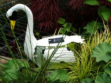 Solarleuchte-Schwan--weiß--ca