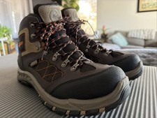 Danner Trailtrek 4.5 Boots