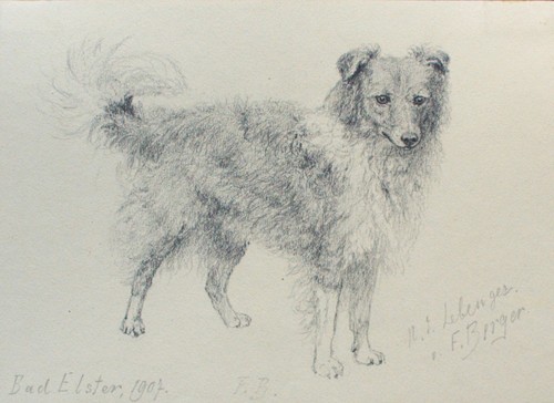 Fritz berger zeichnung hund - fritz,