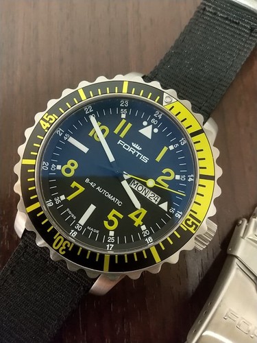 Fortis marine master - fortis, b-42