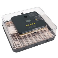 Inkubator brutautomat - inkubator,