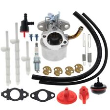 594014 Vergaser für Briggs &