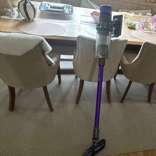 Dyson v11 animal extra - v11,