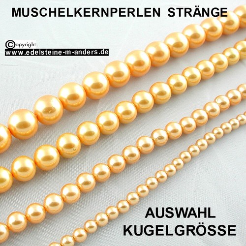 Shell muschel kern perlen - shell,