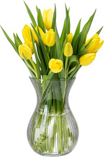 KONZEPT Blumenvase Glas 18 Cm