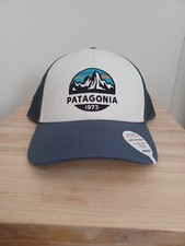 Patagonia Fitz Roy Scope LoPro