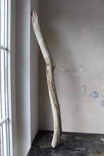 112 cm Ast Treibholz