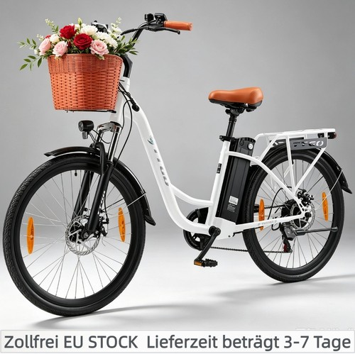 250w elektrofahrrad für - 250w,